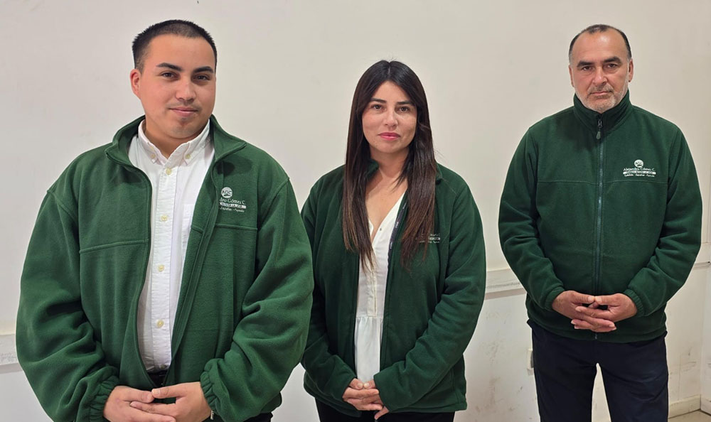 Oficina de Partes Caja